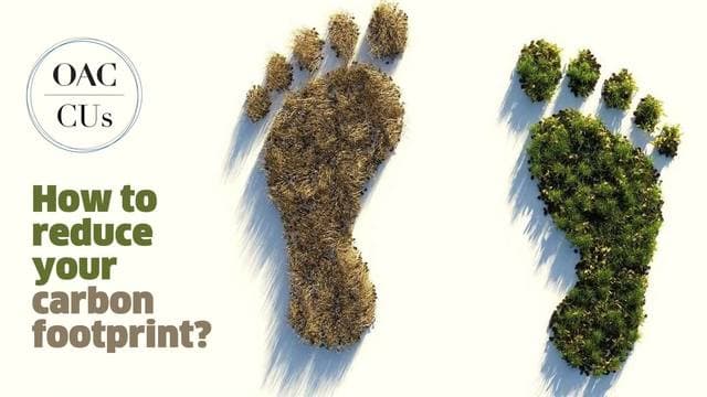 Reduce Your Carbon Footprint