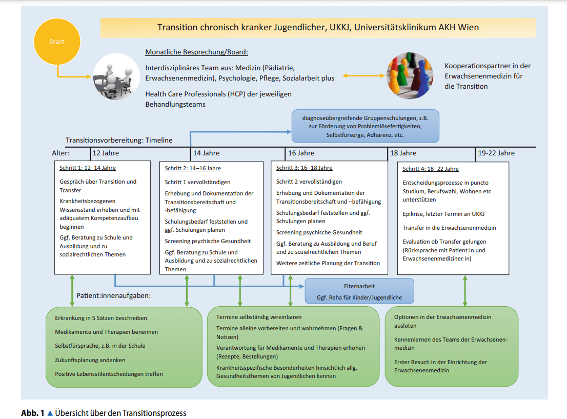 Transition and Transfer in Rare Chronic Diseases. Implementation of Established Concepts From Theory to Practice