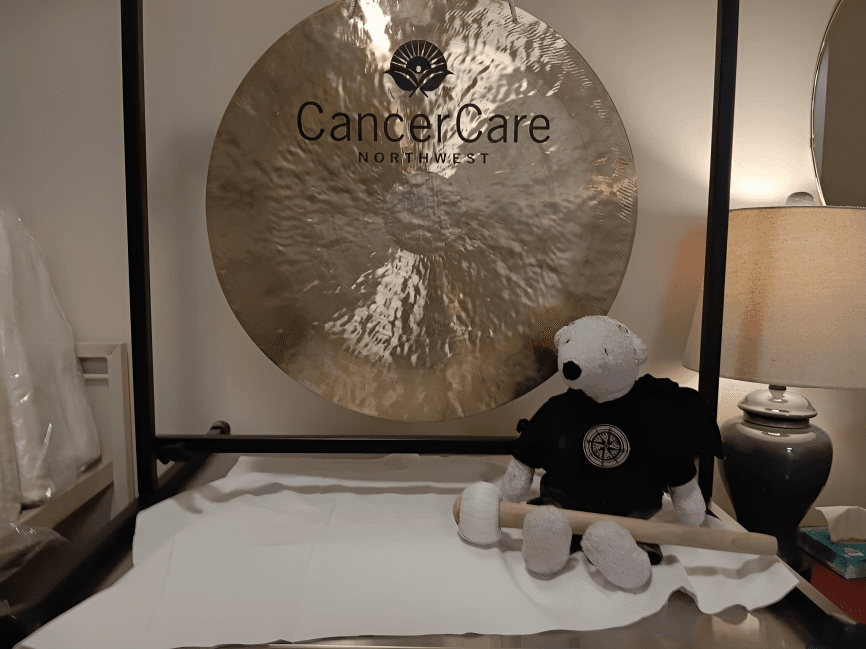 brain cancer survivor companion through cancer journey