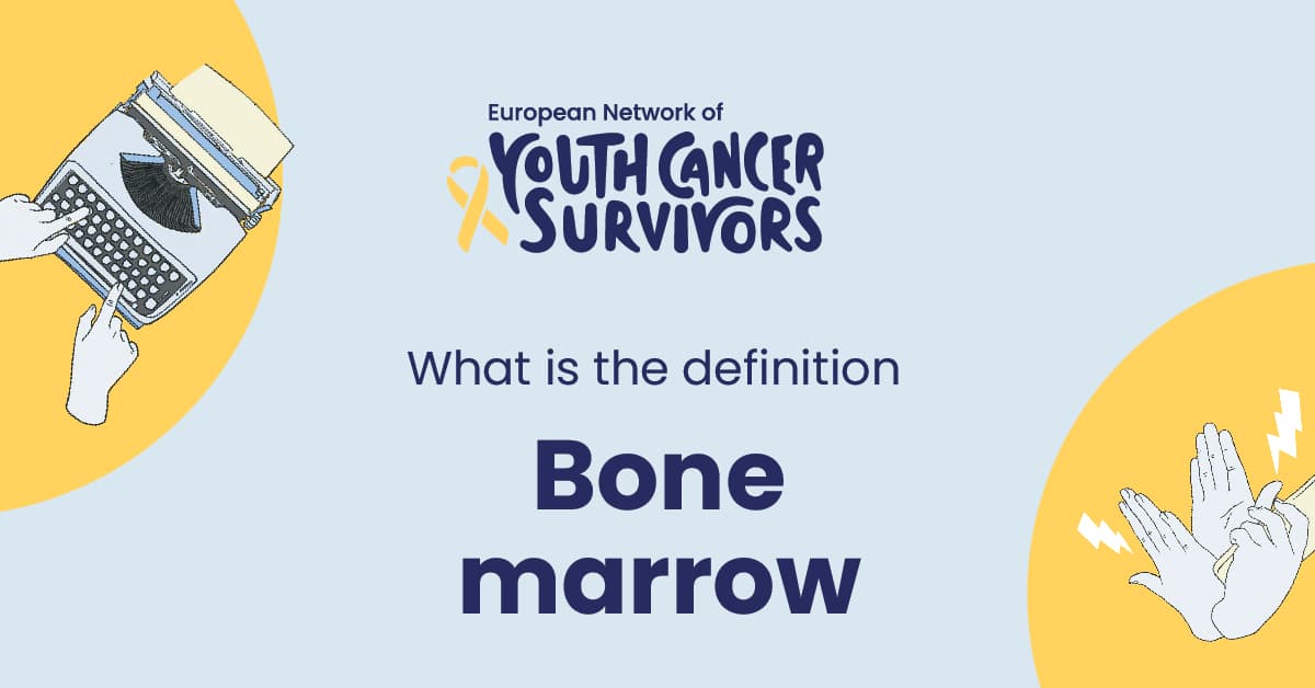 what is bone marrow?