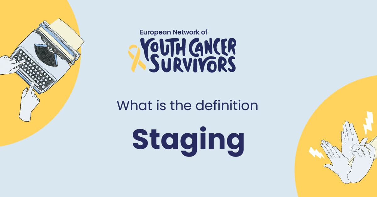 Was ist Staging?