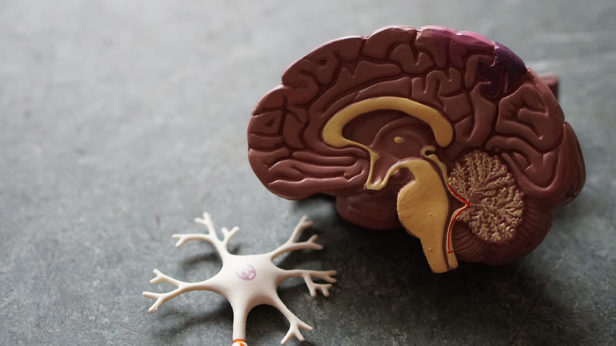 Che cos'è la neuro-oncologia? Come può essere utile?
