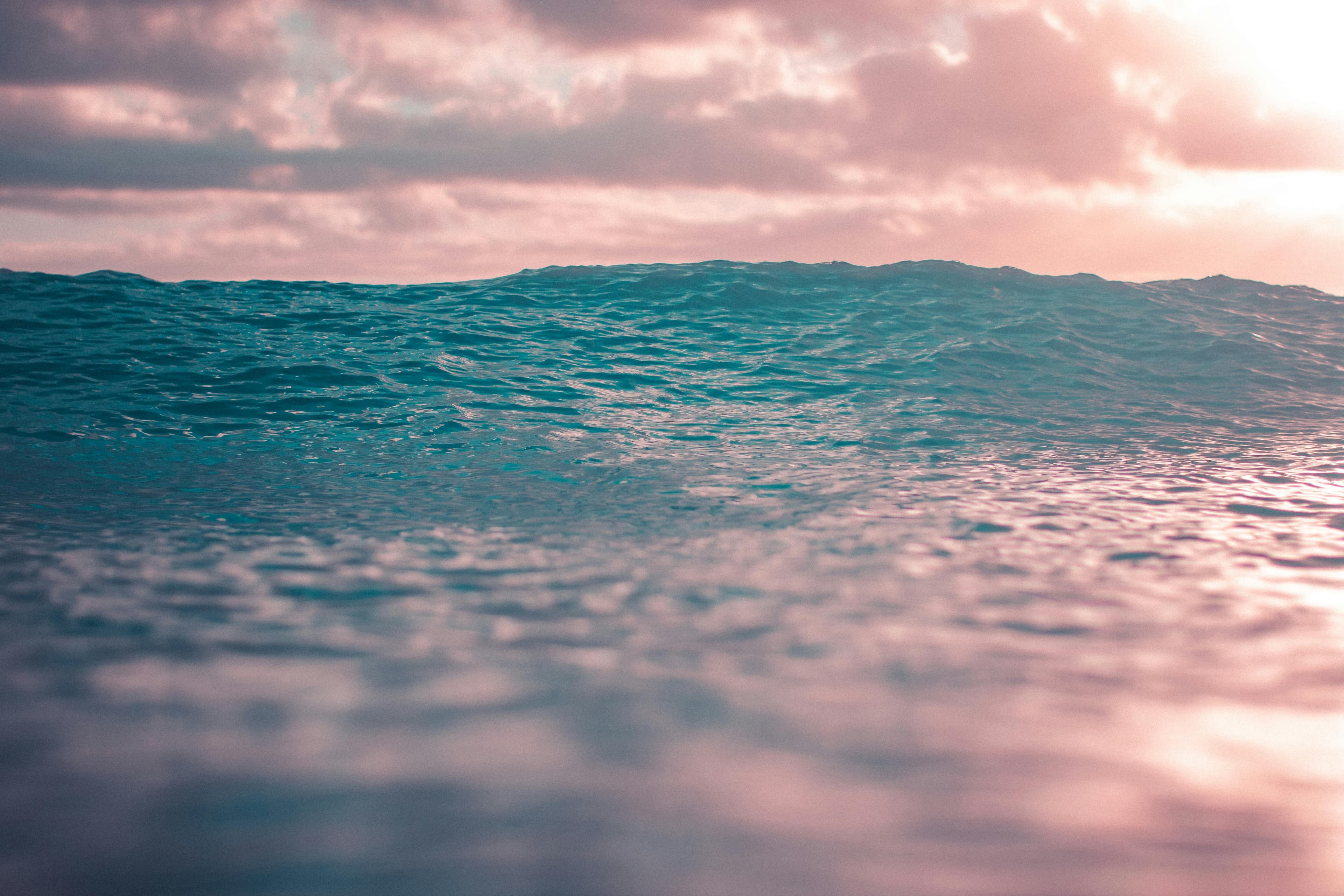 07.2 hirm vähi taastekke ees