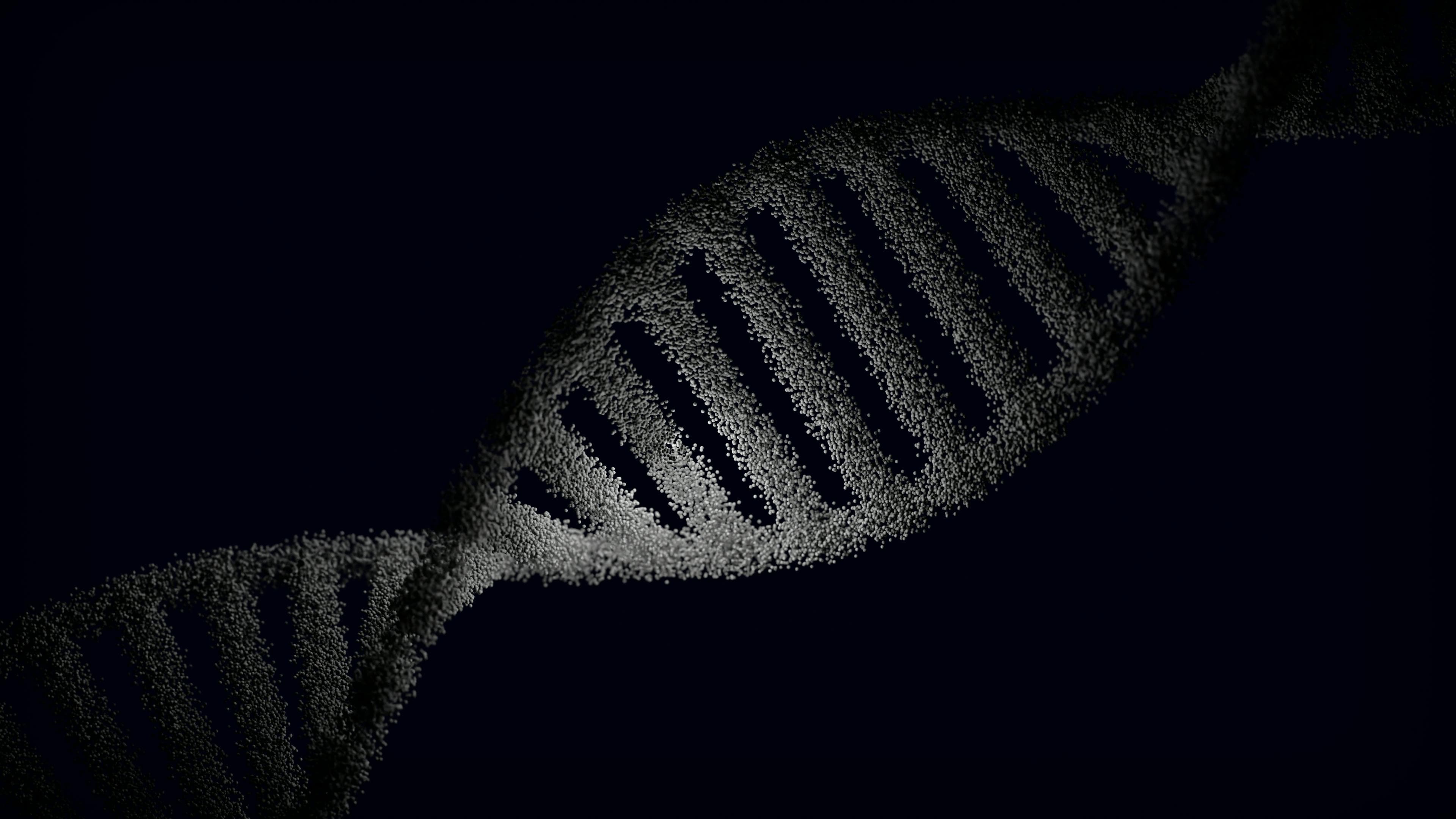 29.2 TEST