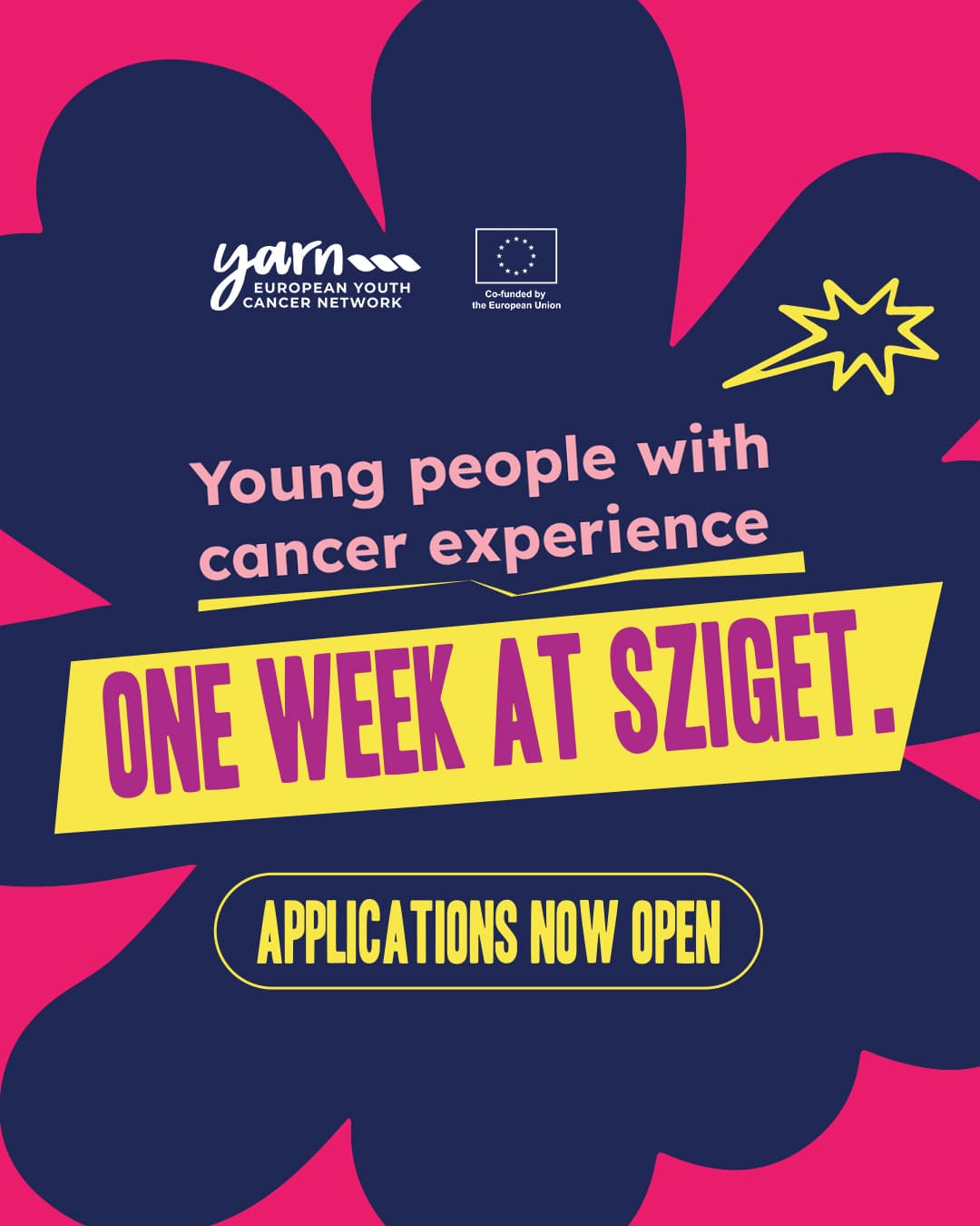 Sziget young people with cancer experience. 2026 YARN EU Health Project