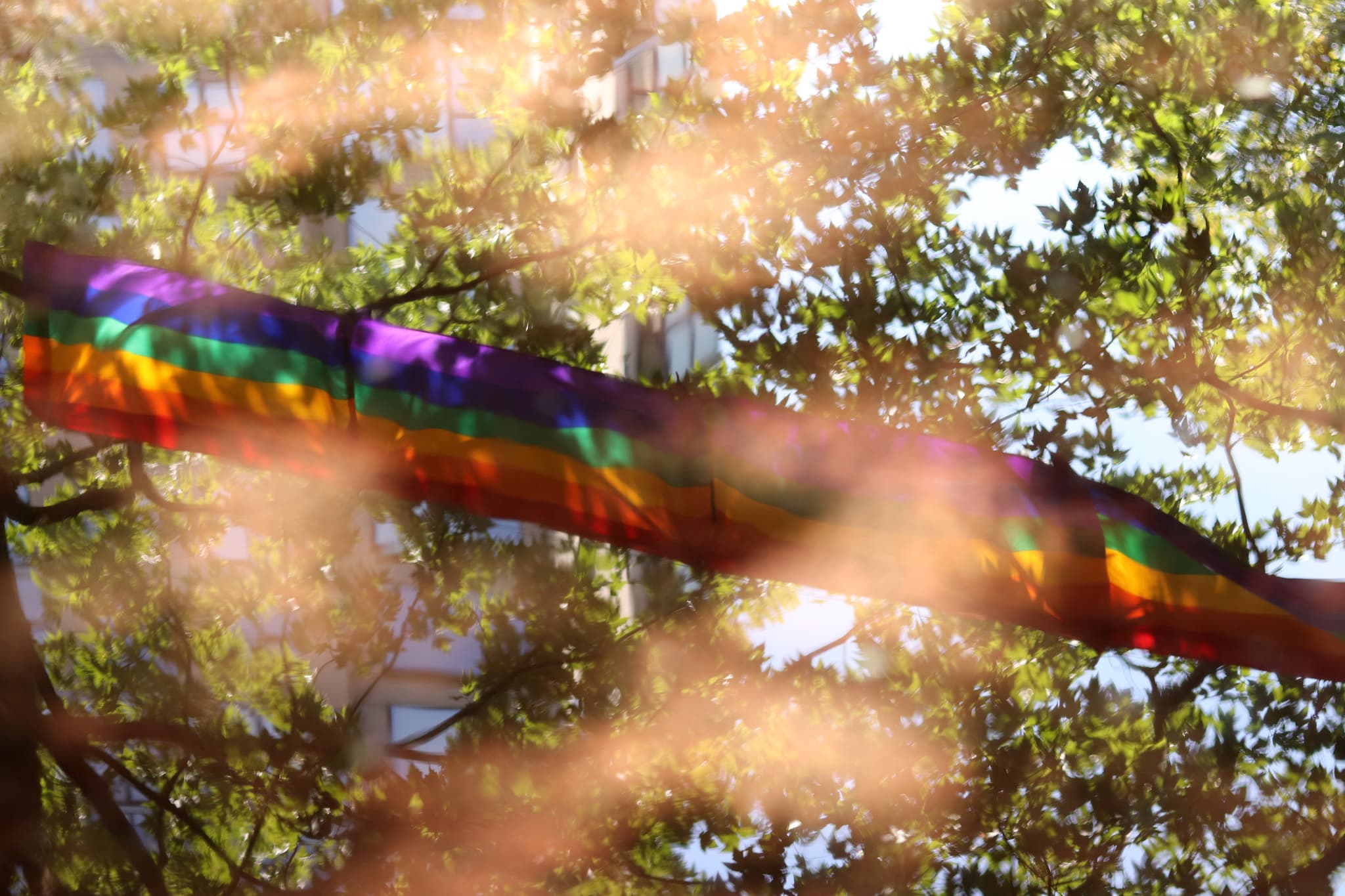 Everything’s a Fight: A Qualitative Study of the Cancer Survivorship Experiences of Transgender and Gender Diverse Australians