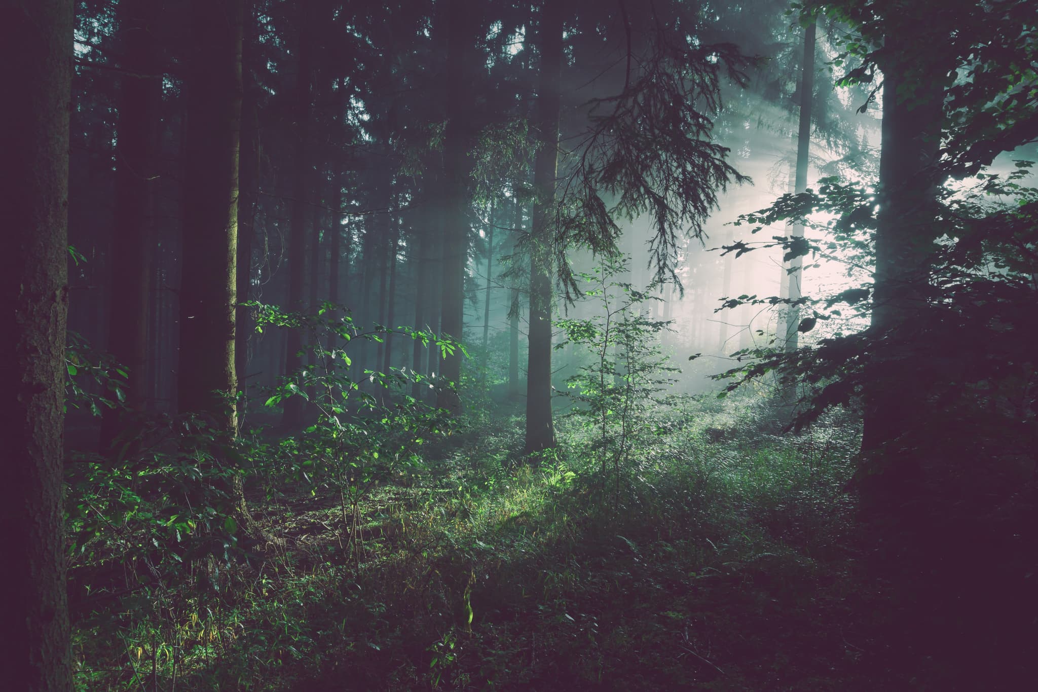 Psychologische Faktoren, die sich auf den Übergang von der pädiatrischen zur Erwachsenenversorgung bei Krebsüberlebenden im Kindesalter auswirken