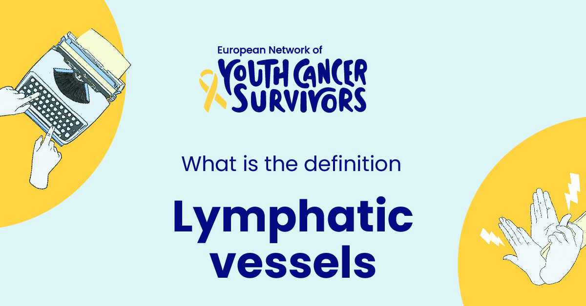 what is lymphatic vessels?
