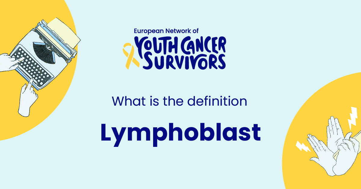what is lymphoblast?