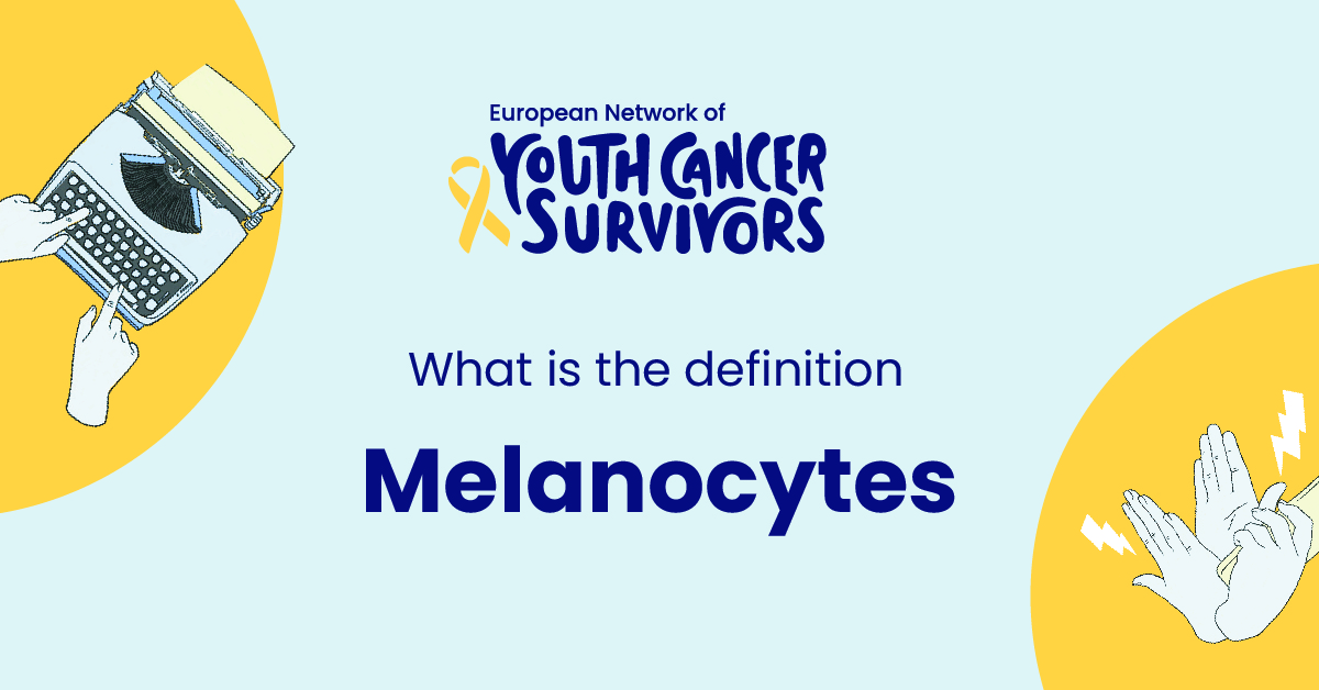 what is melanocytes?