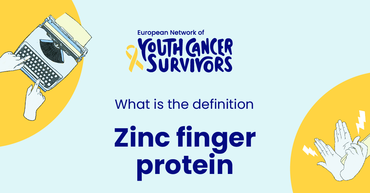 what is zinc finger protein?
