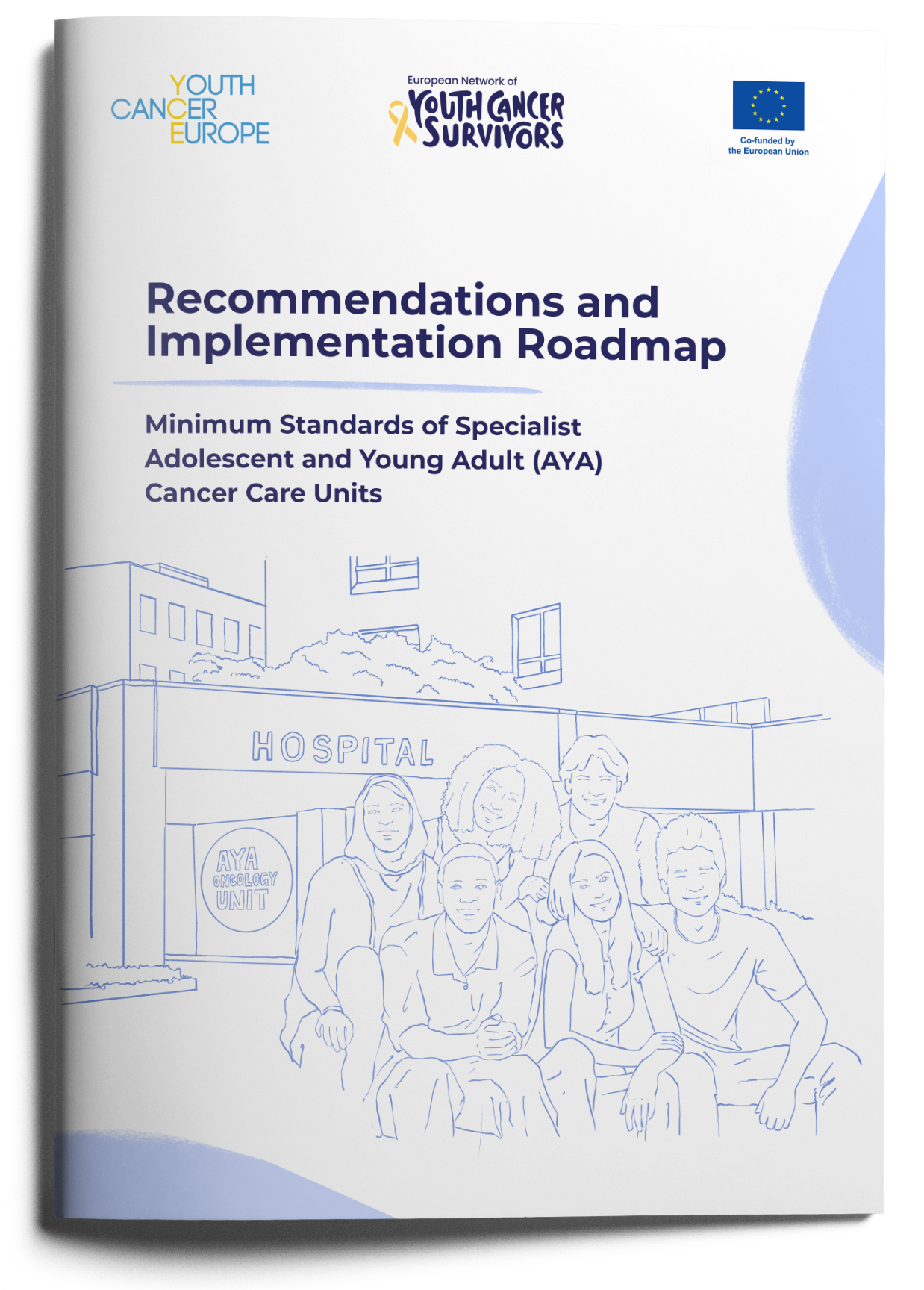 Graphics for Unveiling the “Recommendation and Implementation Roadmap for Minimum Standards of Specialist Adolescent and Young Adult (AYA) Cancer Care Units” Position Paper
