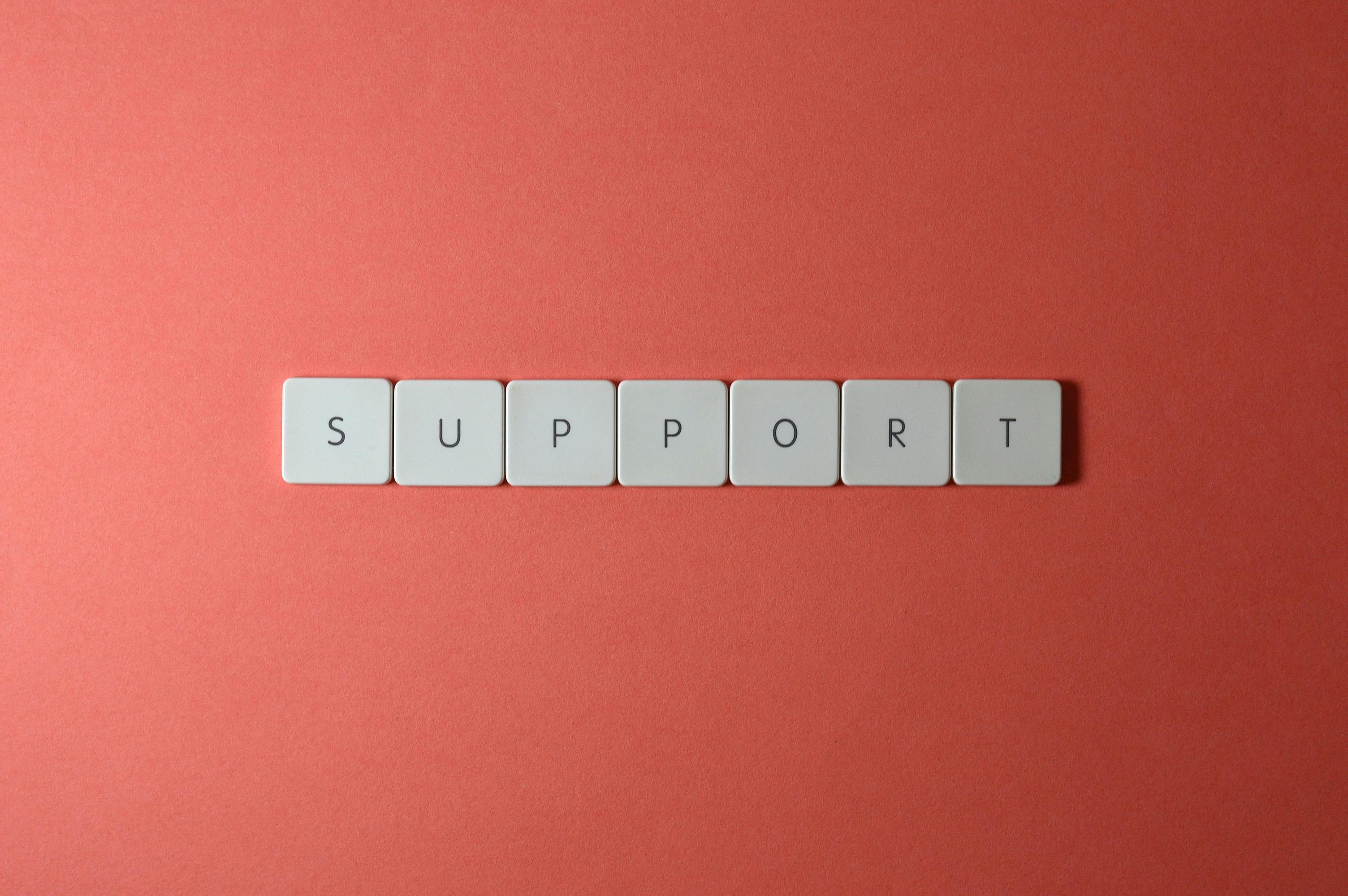 27.02 paliative care support